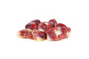 Chicken Gizzard