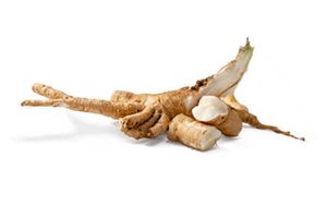 Chicory Root