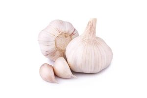 Garlic