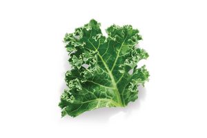 Kale