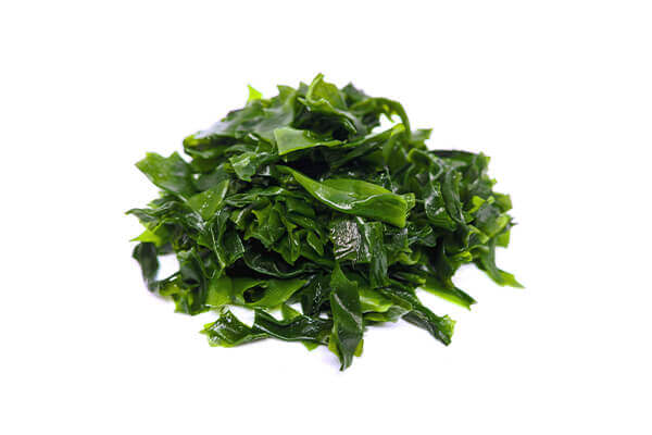 Kelp