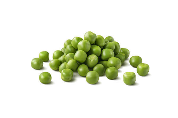 Pea Fiber as a dog food ingredient