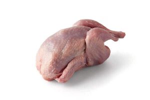Quail