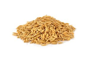 Rice Bran