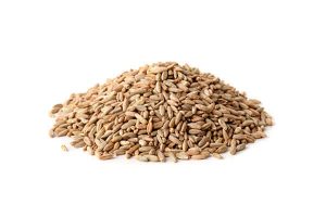 Rye