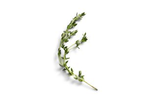 Thyme