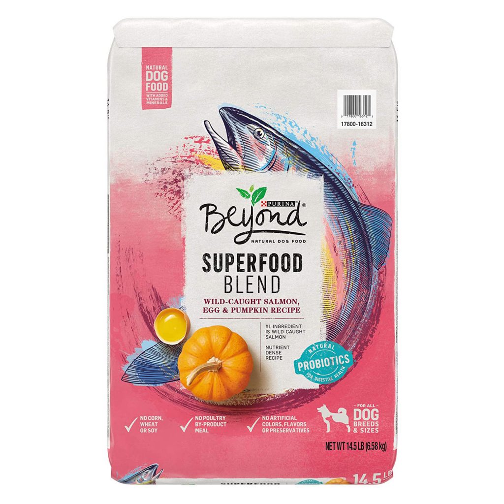 Purina Beyond Superfood Blend Salmon, Egg & Pumpkin Recipe Dry Dog Food