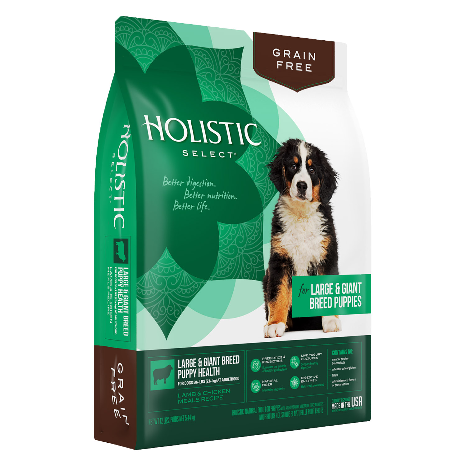 Holistic Select Grain-Free Large & Giant Breed Puppy Dry Dog Food Review