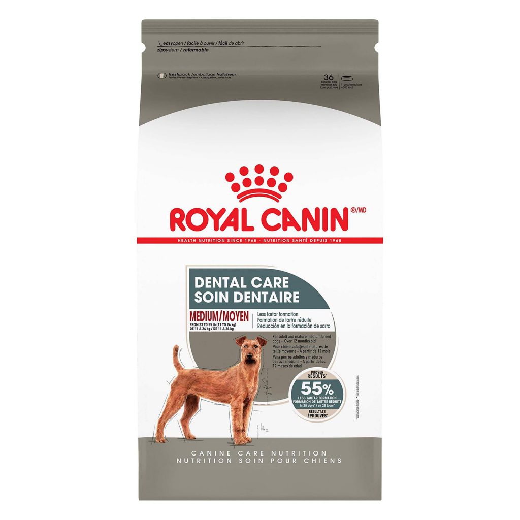 Royal Canin Medium Dental Care Dry Dog Food