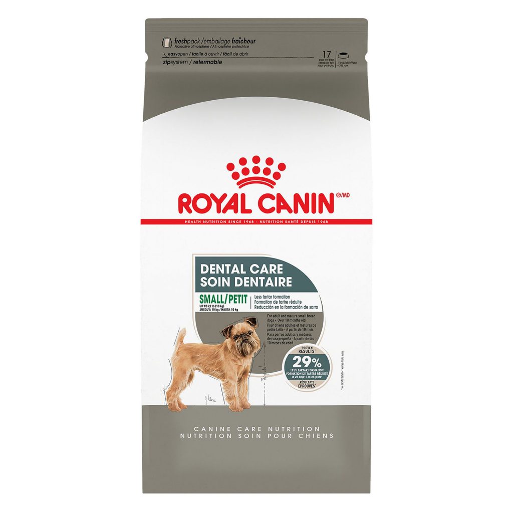 Royal Canin Small Dental Care Dry Dog Food