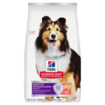 Hill’s Science Diet Adult Sensitive Stomach & Skin Salmon & Brown Rice Recipe Dry Dog Food