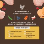 Instinct Raw Boost PeakBoost+ Kibble Real Chicken Recipe Dry Dog Food, photo 5