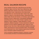 Instinct Raw Boost PeakBoost+ Kibble Real Salmon Recipe Dry Dog Food, photo 7