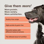 Instinct Raw Boost PeakBoost+ Kibble Real Salmon Recipe Dry Dog Food, photo 4