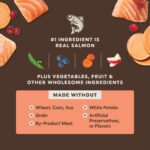 Instinct Raw Boost PeakBoost+ Kibble Real Salmon Recipe Dry Dog Food, photo 6