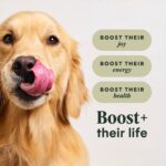 Instinct Raw Boost RawBoost+ Whole Grain Kibble Real Beef & Barley Recipe Dry Dog Food, photo 4