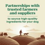 Nutro Max Minichunks Chicken Dry Dog Food, photo 3