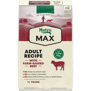 Nutro Max Adult Beef Dry Dog Food
