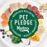 Nutro Ultra Small Breed, Weight Management, The Superfood Plate with a Trio of Proteins from Chicken, Lamb and Salmon Dry Dog Food, photo 4