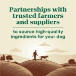 Nutro Max Large Breed Adult Chicken Dry Dog Food, photo 5