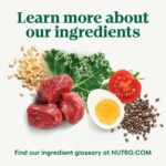 Nutro Natural Choice Adult Lamb & Brown Rice Recipe Dry Dog Food, photo 6