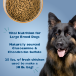 Bil-Jac Large Breed Dry Dog Food, photo 4