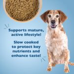 Bil-Jac Senior Dry Dog Food, photo 4