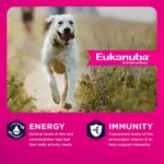 Eukanuba Adult LP Large Breed Dry Dog Food, photo 4