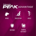 Eukanuba Premium Performance 30/20 Sport Small Bites Dry Dog Food, photo 4