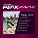 Eukanuba Premium Performance 26/16 Exercise Small Bites Dry Dog Food, photo 3