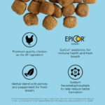 Go! Solutions Dental + Immune Health Chicken + Salmon Dry Dog Food, photo 7