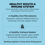 Go! Solutions Dental + Immune Health Chicken + Salmon Dry Dog Food, photo 6