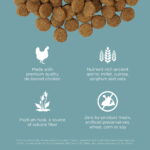 Go! Solutions Digestion + Gut Health Chicken with Grains Dry Dog Food, photo 4