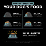 Go! Solutions Digestion + Gut Health Chicken with Grains Dry Dog Food, photo 7
