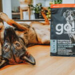 Go! Solutions Digestion + Gut Health Chicken with Grains Dry Dog Food, photo 3