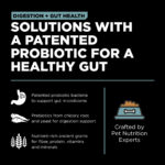 Go! Solutions Digestion + Gut Health Chicken with Grains Dry Dog Food, photo 5