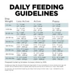 Go! Solutions Digestion + Gut Health Chicken with Grains Dry Dog Food, photo 6