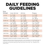 Go! Solutions Digestion + Gut Health Salmon with Grains Dry Dog Food, photo 7