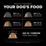 Go! Solutions Digestion + Gut Health Salmon with Grains Dry Dog Food, photo 2