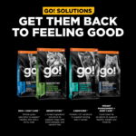 Go! Solutions Digestion + Gut Health Salmon with Grains Dry Dog Food, photo 5