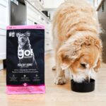 Go! Solutions Healthy Aging Salmon + Duck Dry Dog Food, photo 8