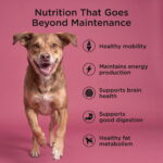 Go! Solutions Healthy Aging Salmon + Duck Dry Dog Food, photo 5