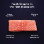 Go! Solutions Healthy Aging Salmon + Duck Dry Dog Food, photo 7