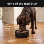 Go! Solutions Skin + Coat Care Beef with Grains Dry Dog Food, photo 6
