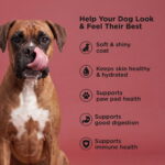 Go! Solutions Skin + Coat Care Beef with Grains Dry Dog Food, photo 4
