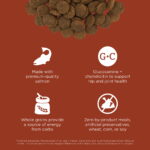 Go! Solutions Skin + Coat Care Large Breed Salmon Dry Dog Food, photo 5