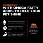 Go! Solutions Skin + Coat Care Large Breed Salmon Dry Dog Food, photo 6