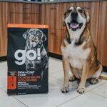 Go! Solutions Skin + Coat Care Large Breed Salmon Dry Dog Food, photo 4