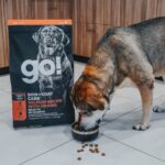 Go! Solutions Skin + Coat Care Large Breed Salmon Dry Dog Food, photo 8