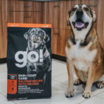 Go! Solutions Skin + Coat Care Large Breed Salmon Dry Dog Food, photo 3